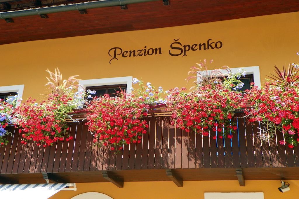 Guesthouse Spenko Kamnik Eksteriør bilde